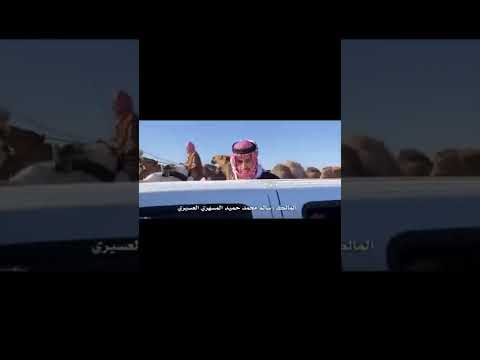 تصريح قوي من ابن حميد المسهري