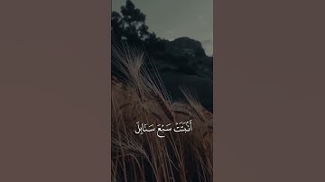 الراحة النفسية 💖🕊.القران الكريم بصوت خاشع حالات واتس اب دينية مؤثرة