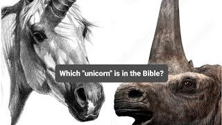 This is why the Bible mentions UNICORNS! 🦄🦏 Wealth