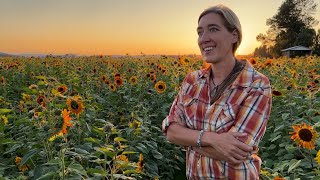 Sunflowers at Gordon Skagit Farms by Floret Flower Farm 5,011 views 6 months ago 3 minutes, 17 seconds