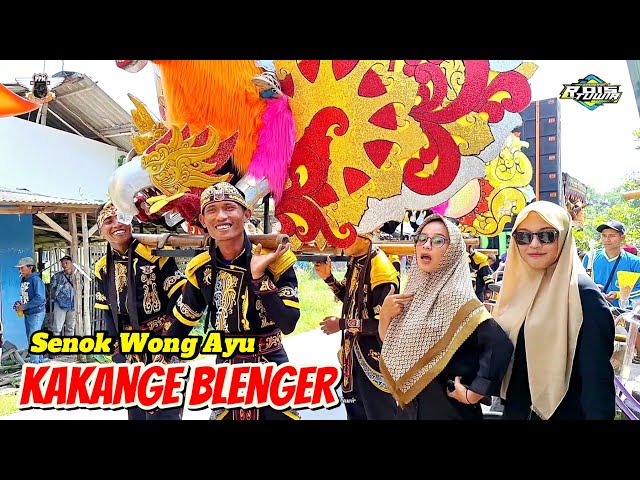 Kakange Blenger❗️ Voc. Kusnep SIBA | singa Depok Putra Pai Muda 2024 | Tegal Pelem - Drunten Kulon class=