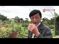 京成バラ園初！香りを愉しむドリンクをバラと共に♪