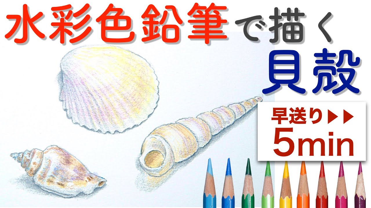 水彩色鉛筆 貝殻を描く How To Draw The Shells In Watercolor Pencils Youtube