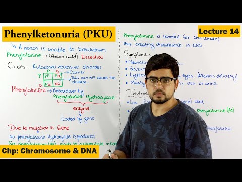 ভিডিও: ফেনাইলকেটোনুরিয়া কি একটি বিন্দু মিউটেশন?