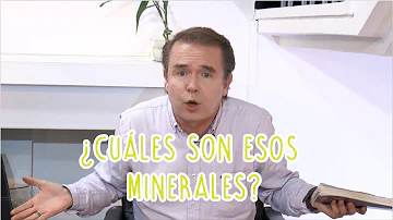 ¿Cuáles son los 3 minerales que necesita tu cuerpo?