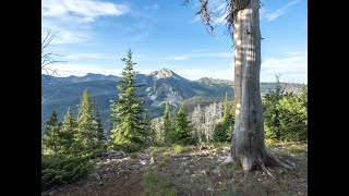 Lots of Grizzly Bears on the Oil Well and Little Wapiti Loop Trail  Yellowstone Ecosystem