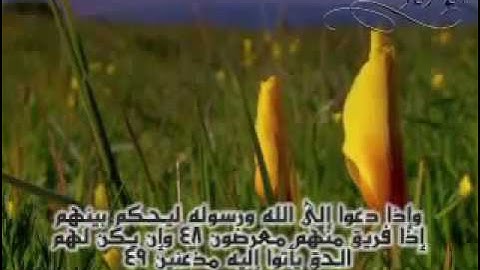 روعة الترتيل لناصر القطامي من نوادر عام 1428 من سورة النور