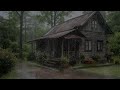 Rainfall ambience reducing stress patterns and calming restless overthinking mind