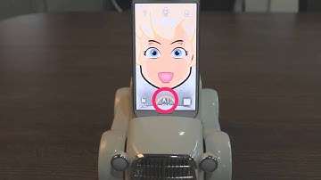 Build Your Own Intelligence - Tyche, AI Robot, Developer Tutorial