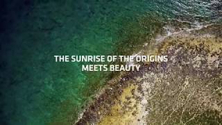 TOGETHAIR - The sunrise of the origins meets beauty