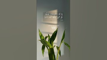 #القرآن_الكريم #اكسبلور #تلاوة_خاشعة #تلاوات #قرآن #ماهر_المعيقلي #ياسر_الدوسري #لايك #ترند #تيك_توك