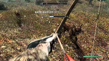 Rendering Problem With Any Game (3 Examples)