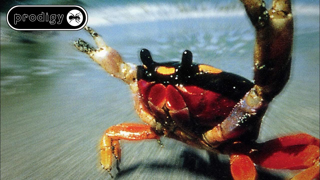 The Prodigy — Smack My Bitch Up (Extended) The Prodigy — Smack My Bitch Up (Extended)