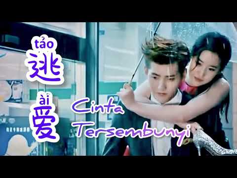Tao Ai  逃爱 [ Cinta Tersembunyi ] Lagu Mandarin Subtitle Indonesia - Lirik Terjemahan