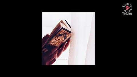 يا قارئ القران | بصوت محمد أحمد