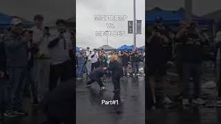Mini Trump Vs Mini Biden Boxing