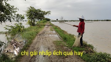 chị gái nhấp ếch không cần lưỡi câu dễ dàng bắt được ếch  
