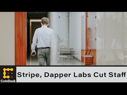 Stripe, dapper labs are latest companies cutting staff amid crypto winter