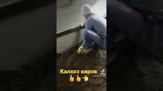 Калхоз Киров