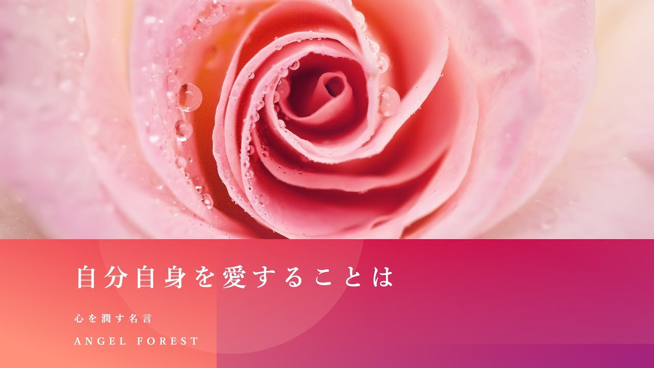 名言 自分自身を愛することは Shorts Youtube