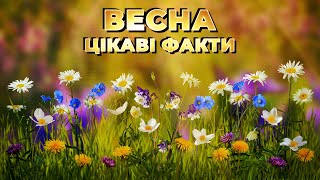 ВЕСНА. ЦІКАВІ ФАКТИ.