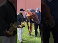Melbourne Cup 2025 champions! Tony & Calvin McEvoy celebrate the win 🏆 #melbournecup  #horseracing