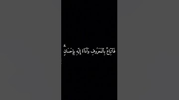 يا أيها الذين امنوا كتب عليكم القصاص في القتلى | ماهر المعيقلي | سورة البقرة | كرومات