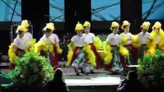 As Mini-Dançarinas Do Grupo La Prima Tarantela