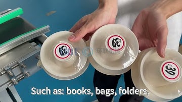 2 19 全自动平面贴标机T304 2