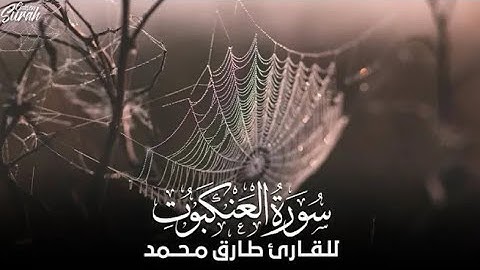 تلاوة هادئة تغمر القلوب للقارئ طارق محمد من سورة العنكبوت