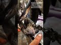Fabricación de cambios con cadena (proceso completo)