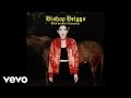 Bishop Briggs - Wild Horses (Acoustic / Audio)