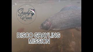 Disco Grayling Mission