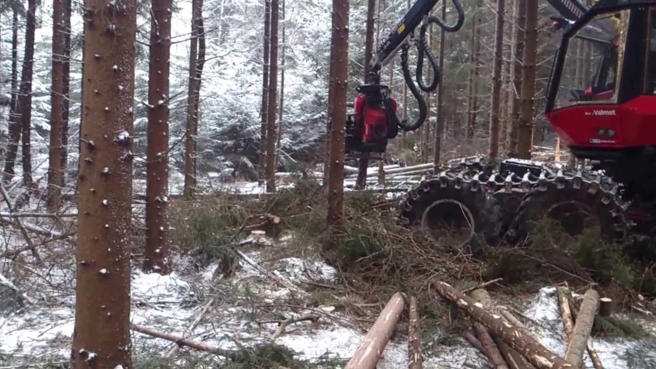 Valmet 911  350 ,flerträd i gallring