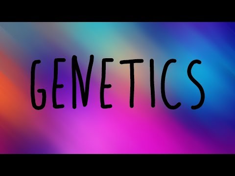 Meghan Trainor - Genetics Lyrics