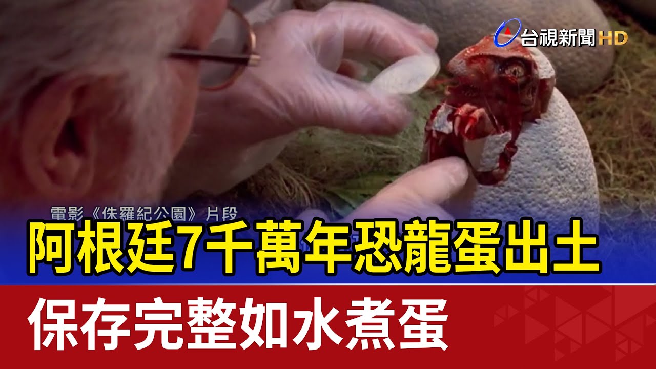 阿根廷7千萬年恐龍蛋出土 保存完整如水煮蛋