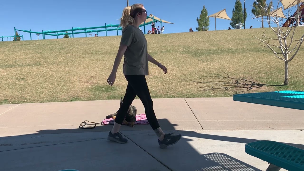 Suburban K9 Dog Training at Regional Park in Gilbert, Arizona!