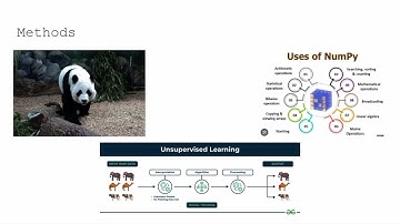 CS 4641 Group 7 Project Proposal