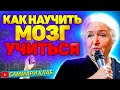 Лучшая Лекция Татьяны Черниговской "Как Научить Мозг Учиться" l Краткая Версия за 15 минут