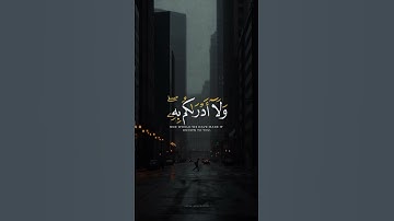 اكتب شي تؤجر عليه ♡✨️ | القارئ عبدالرحمن مسعد | قرآن كريم