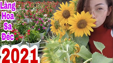 Làng Hoa Sa Đéc Rộn Ràng Xuân Mới 2021