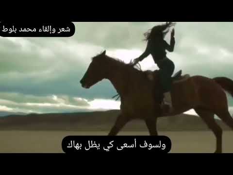 يا مهرة ظلت أصيلة شعر عن الحب إلقاء محمد بلوط