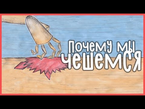 Edu: Почему мы чешемся