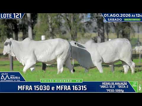 LOTE 121   MFRA 15030 e MFRA 16315