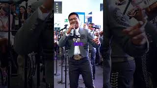 La fiesta del mariachi - Mariachi Jalisco es México