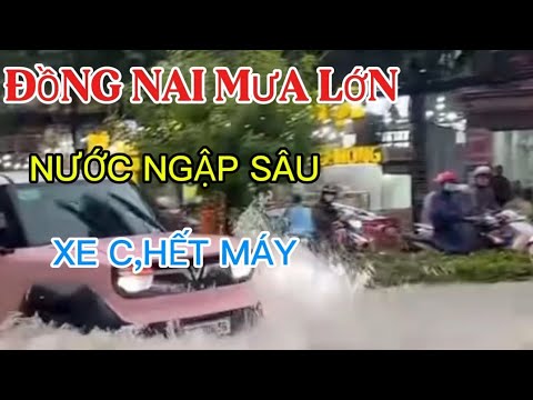 Mưa Lớn Khủng Khiếp Tain Đồng Nai Ngập Chưa Từng Thấy