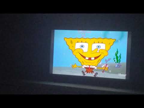 Spongebob v kalhotách