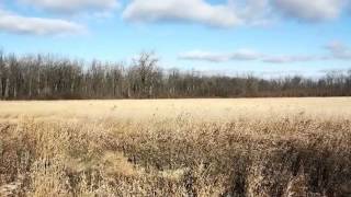 3480 Moss Rd video tour