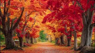 Short relaxing music for autunmn