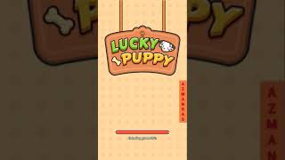 lucky puppy lvl 34 match unicorn colour screenshot 3